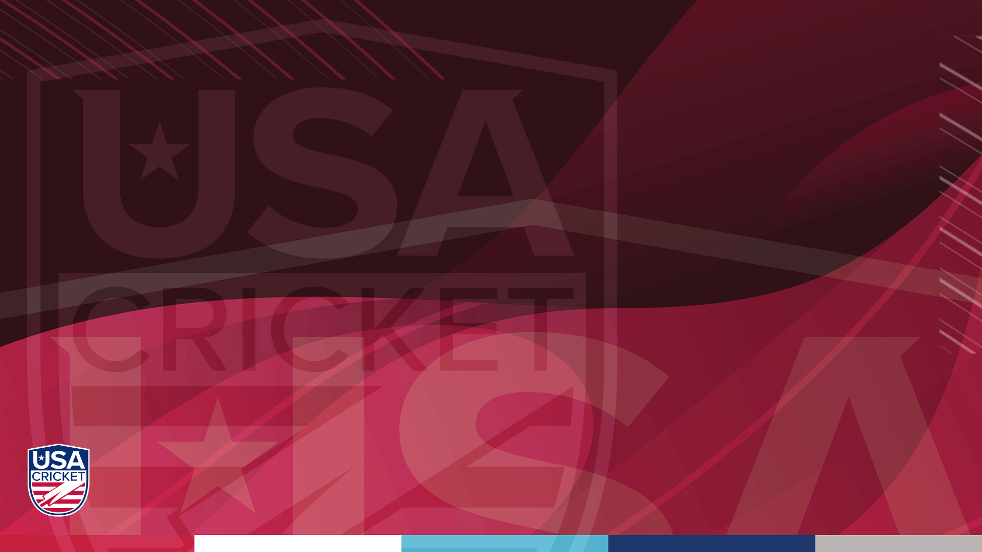 USA Cricket Zoom Backdrop Red