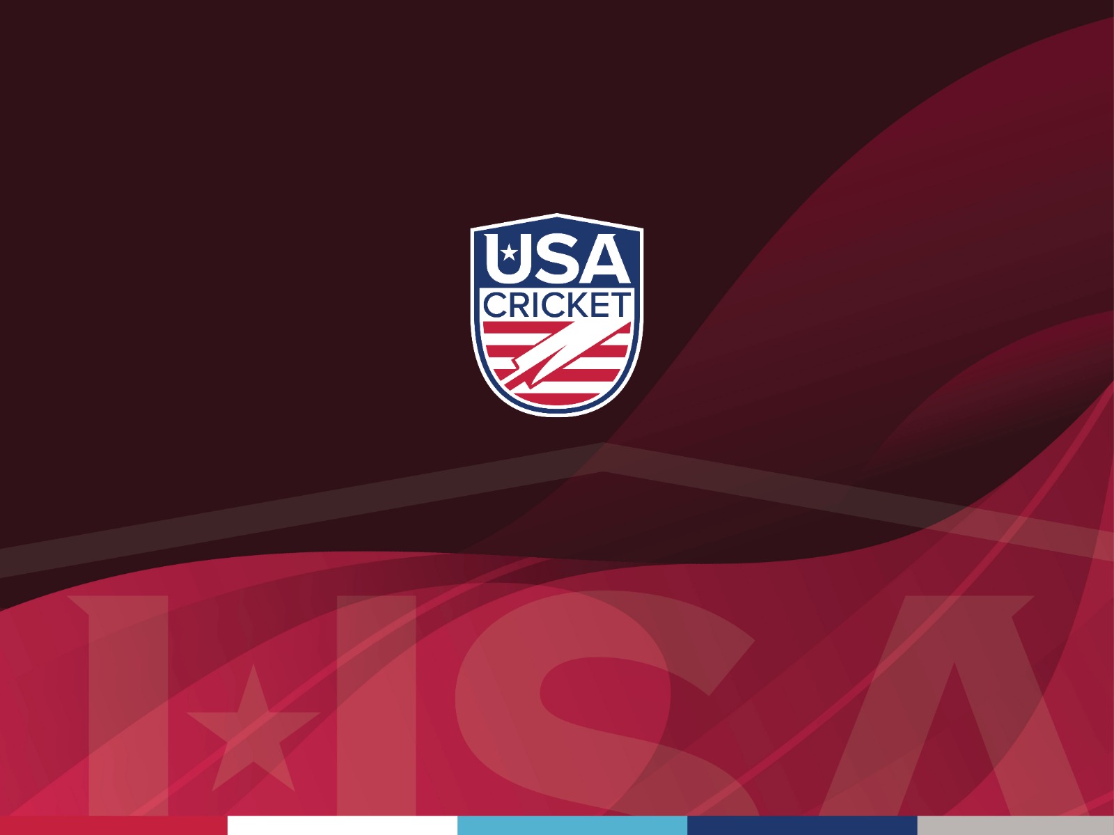 USA CRICKET ANNOUNCES NEW FULLTIME CEO  AND BOARD CHAIRMAN